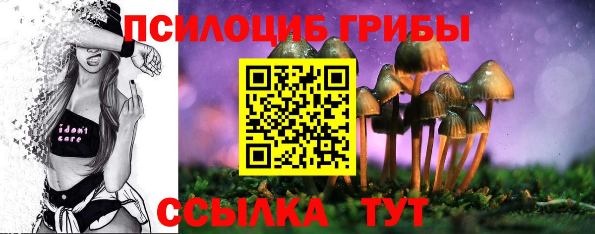 Элиста  Псилоцибиновые грибы Magic Shrooms  Вход с VPN  Псилоцибиновые грибы Cubensis 
